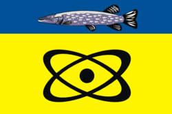 Flag of Schukino (municipality in Moscow)